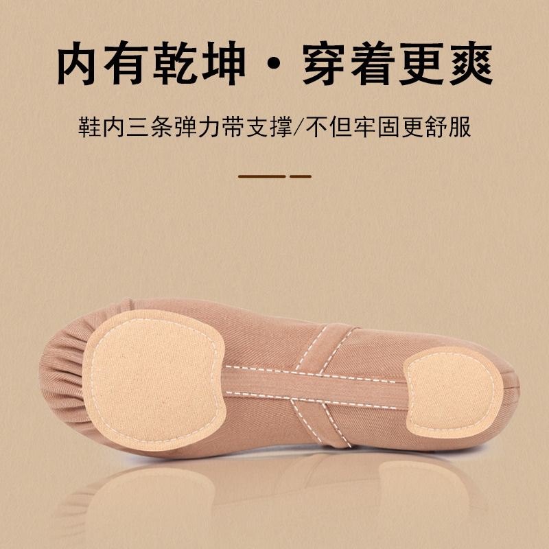 Picture of Full stretch cloth dance shoes women's soft-soled exercise shoes professional body dance shoes lace-up free cat claw shoes Chinese ethnic