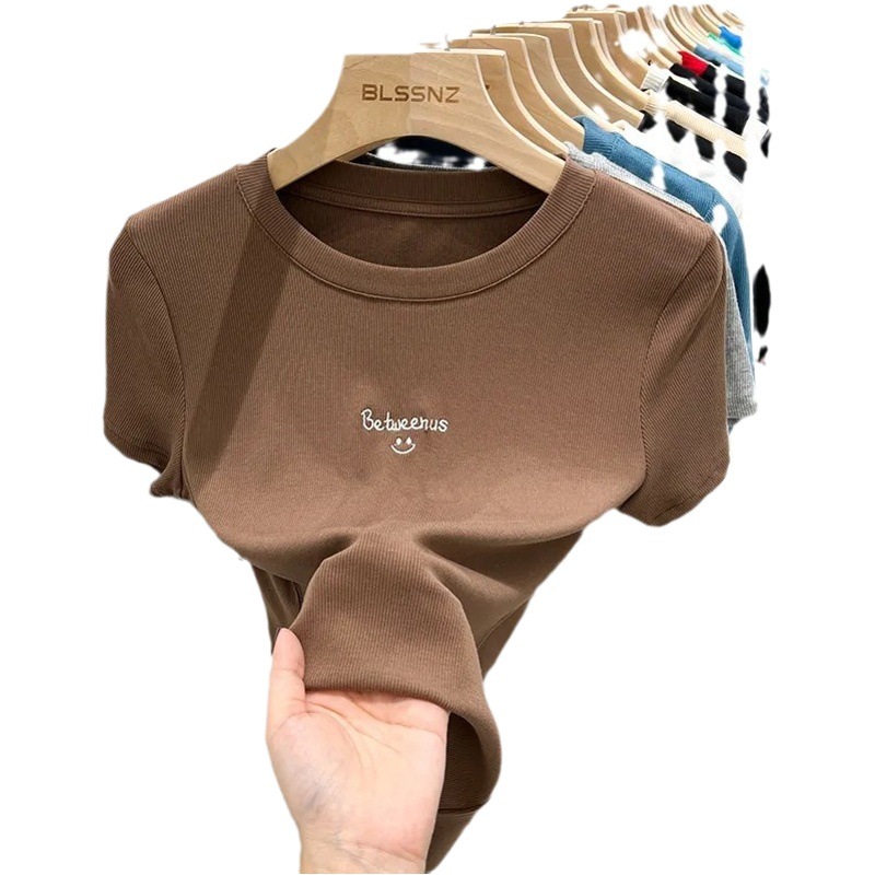 European Short-sleeved T-shirt Women's Slim-fit 2024 New Summer Embroidered Chic Solid Color Top Base Shirt Women's Inner Shirt