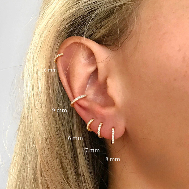 Picture of Amazon Europe and the United States cross-border hot-selling circle diamond earrings earrings zircon earrings light luxury fashion earrings jewelry