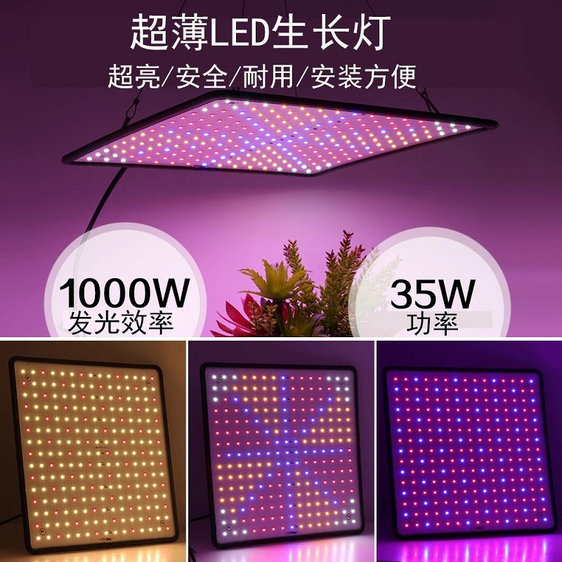 Full spectrum plant growth led quantum board lamp hanging greenhouse fleshy flower tent seed fill light