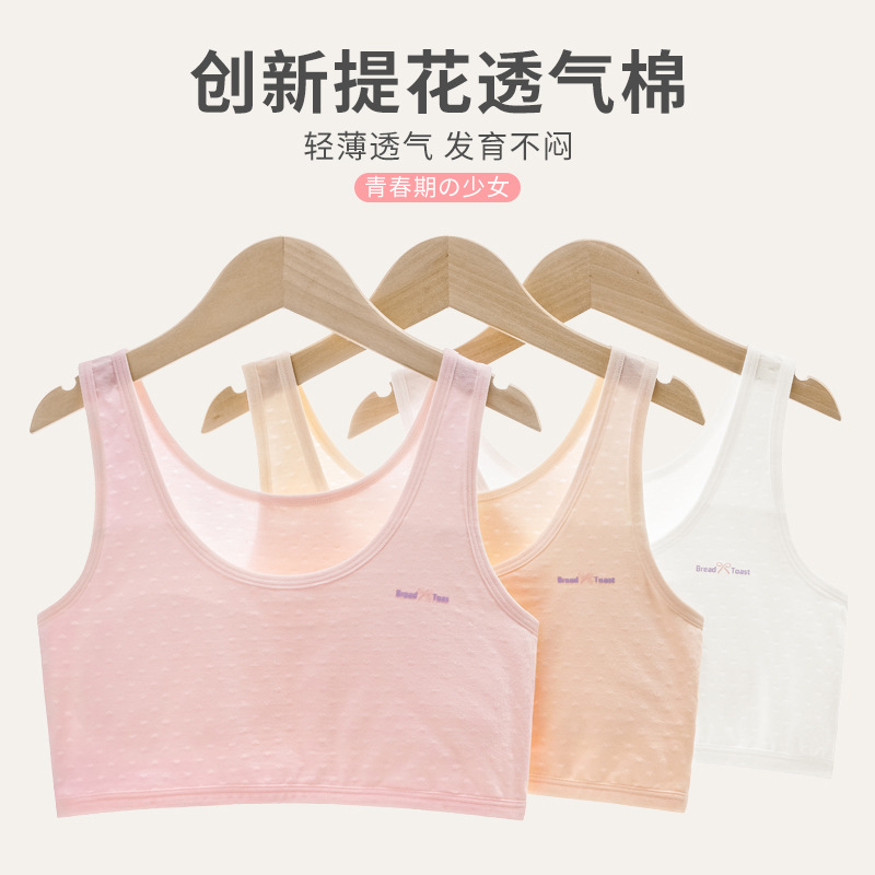 Picture of Girls' Development Stage One Underwear Bra for Girls without Steel Rings Tube Top for Adolescent Girls Vest Underwear for Students