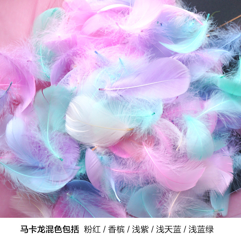 Picture of Manufacturer Wholesale Macaron Colorfulful Small Feather 5-8cm Goose Feather Small Floating Wave Ball Balloon Filling Decorative Material
