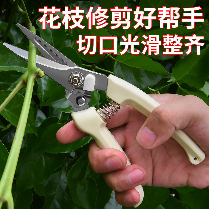 Garden Art Scissors Pruning Shears Fruit Artifact Cutting Branch Scissors Pruning Persimmon Pruning Shears Branch Scissors