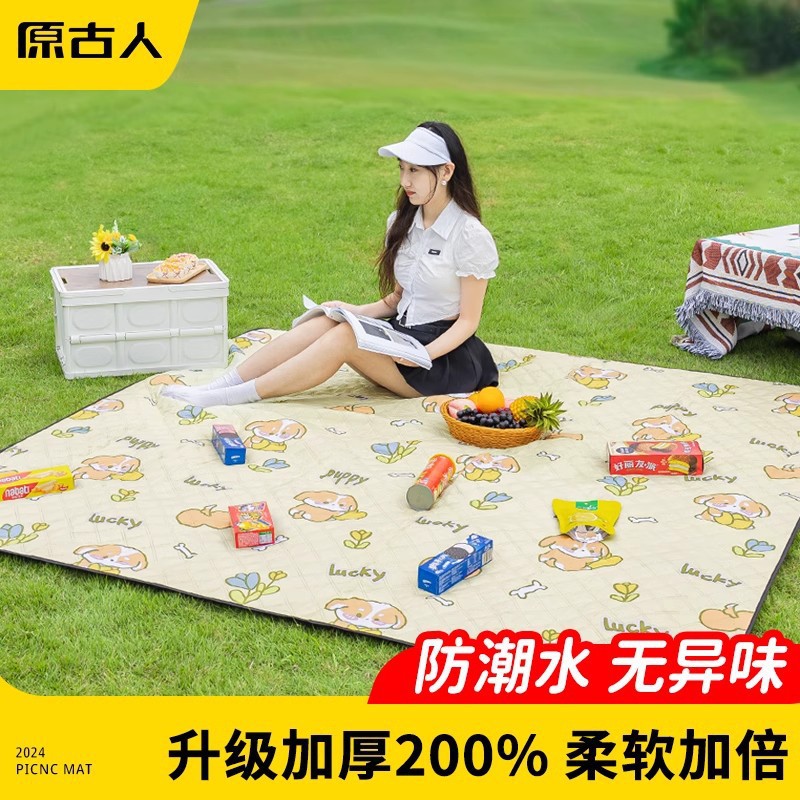 Original Ancient Picnic Mat Damp-proof Mat Thickened Outdoor Mat Camping Autumn Spring outing Mat Lawn Picnic Grass Mat
