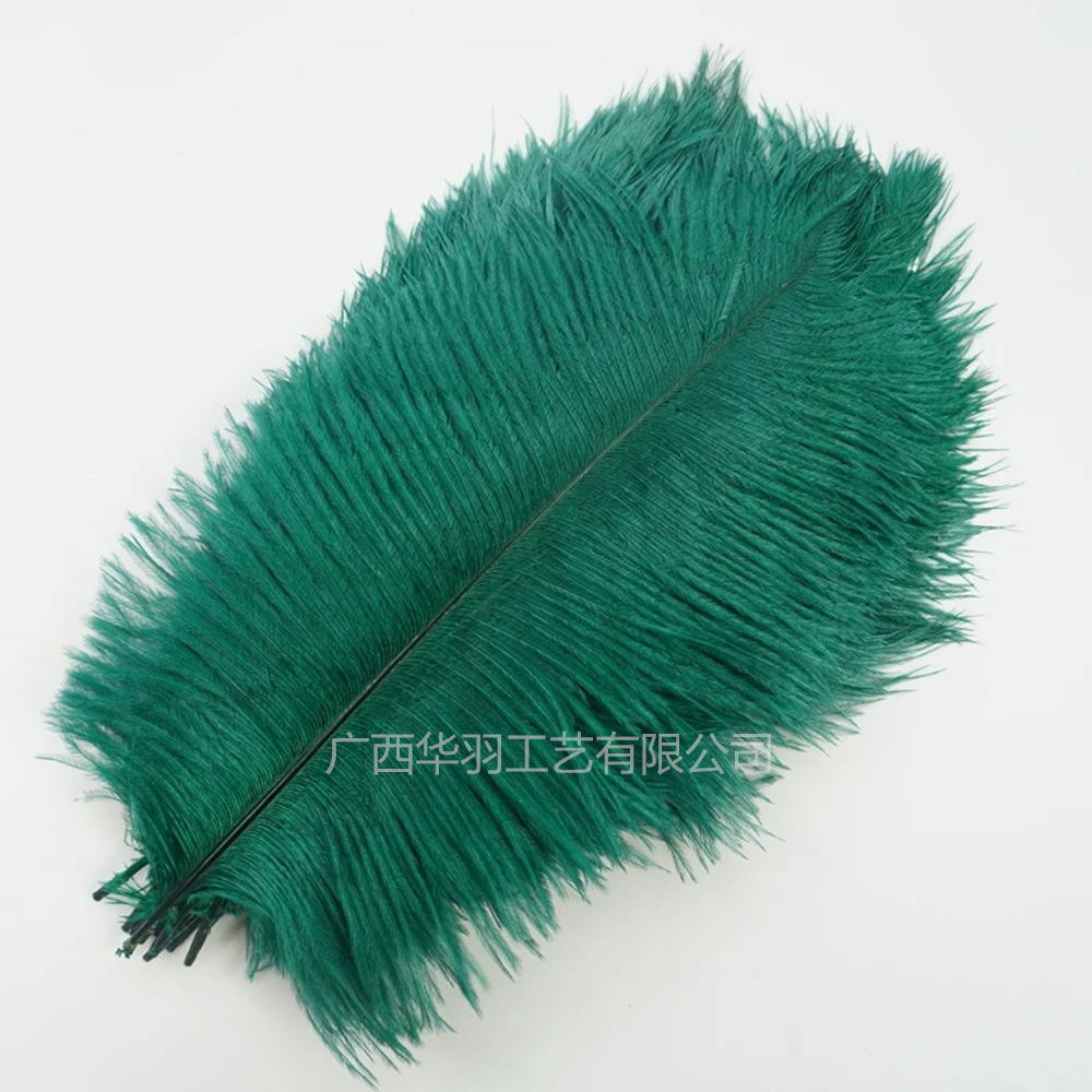 Picture of 20-25cm Ostrich Feathers Wholesale Manufacturer in Stock Wedding Decoration Feathers DIY Crafts Stage Costumes Ostrich Feathers