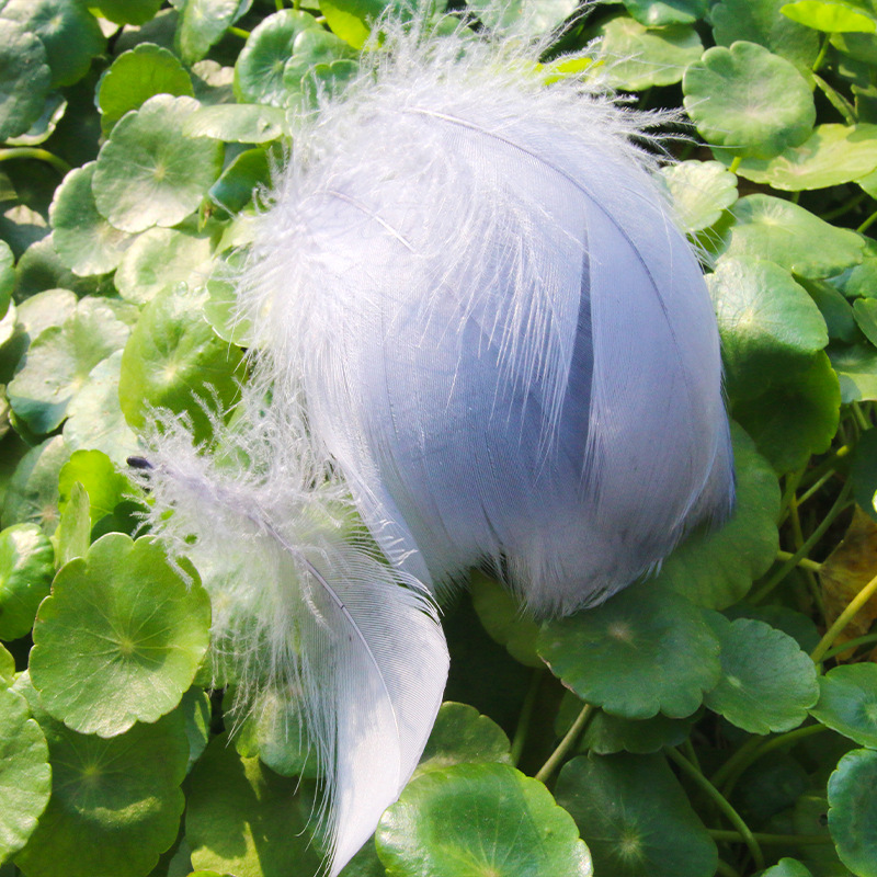Picture of diy handmade color floating feather goose feather dream catcher wave ball gift box filling decoration materials