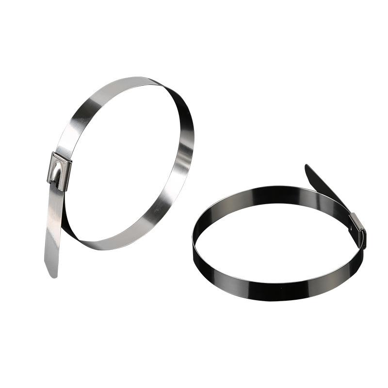Picture of Factory wholesale 201 stainless steel cable ties 4.6~19mm white steel ball self-locking metal Marine hoop cable ties