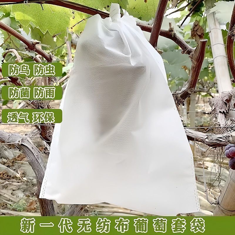 Orchard Light-Transmitting Mesh Bagging Fruit Insect-Proof Breathable Wire Mesh Bag Fig Tomato Grape Anti-Bird Special