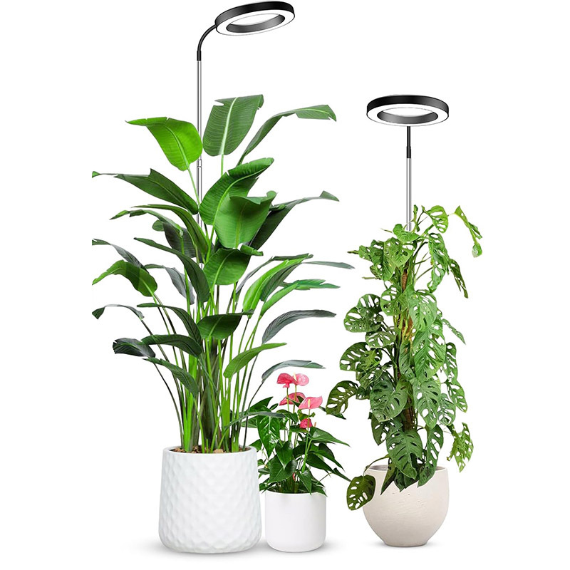 160 large disc indoor fleshy flowers can be adjusted to 10w timing plant growth fill light cross-border new products