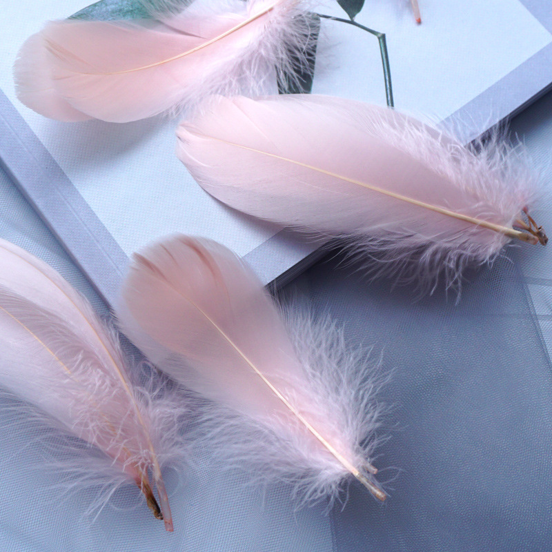 Picture of Macaron color feather decoration goose feather large and medium floating dream catcher gift box filled bouquet diy handmade material