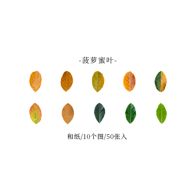 Picture of A Beautiful Day Tape Champs Elysees Leaves Series Creative Plant Hand Account DIY Decorative Stickers 8