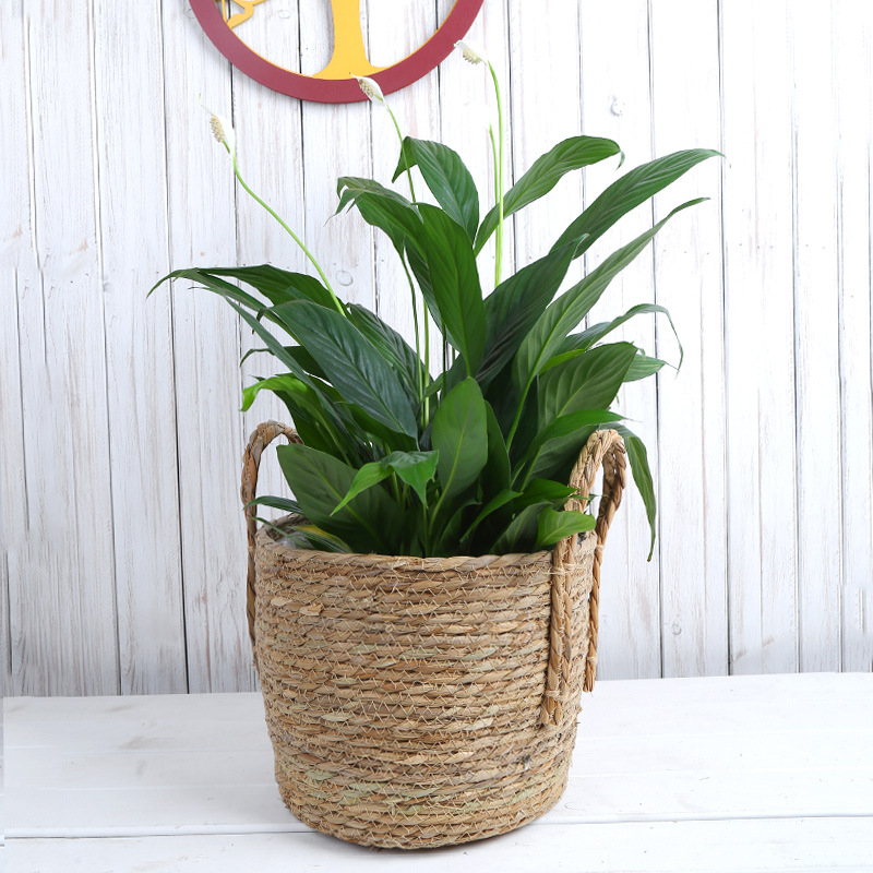 Picture of Cross-border Hot Sale Straw Rattan Flower Basket Creative Home Woven Basket Balcony Living Room Decoration Green Plant Potted Flower Pot