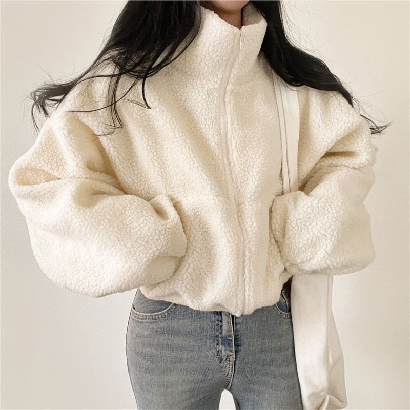 Korean Style Short Vertical Collar Warm Imitation Lamb Velvet Jacket Women's Autumn and Winter New Loose Zipper Cardigan Top