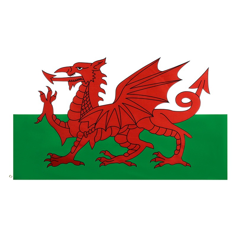 Wales Red Dragon Flag Wales90*150Cm No. 4 Polyester Printed Flag Flag Ready for Cross-Border Supply