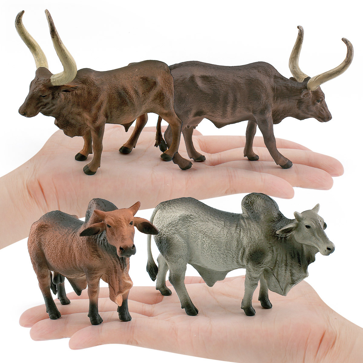 Picture of Source manufacturer simulation Texas Longhorn cattle Vatusi cow tumor cattle Charolais cattle Gore cattle model