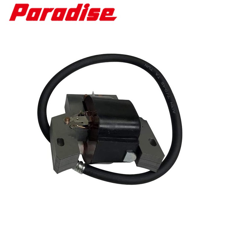 Briggs & Stratton 398593 793281 793352