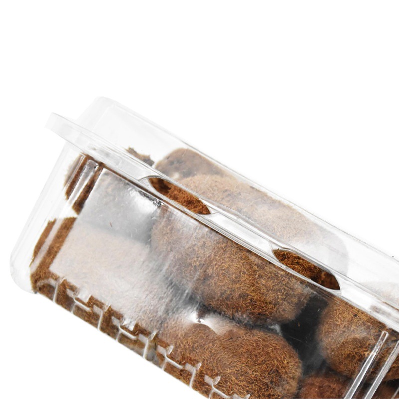 Disposable Fruit Box with Lid, Transparent Packaging Box for Supermarket and Fruit Shop, Pack of 0.5kg Pieces, Hot Selling Across Borders