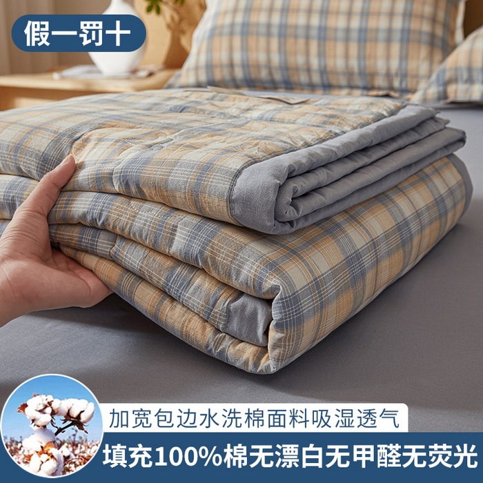 New Class A 100% Xinjiang Cotton Quilt Summer Cool Quilt Without Printing Style Water Wash Cotton Air-conditioning Quilt Thin Quilt Core Summer Quilt