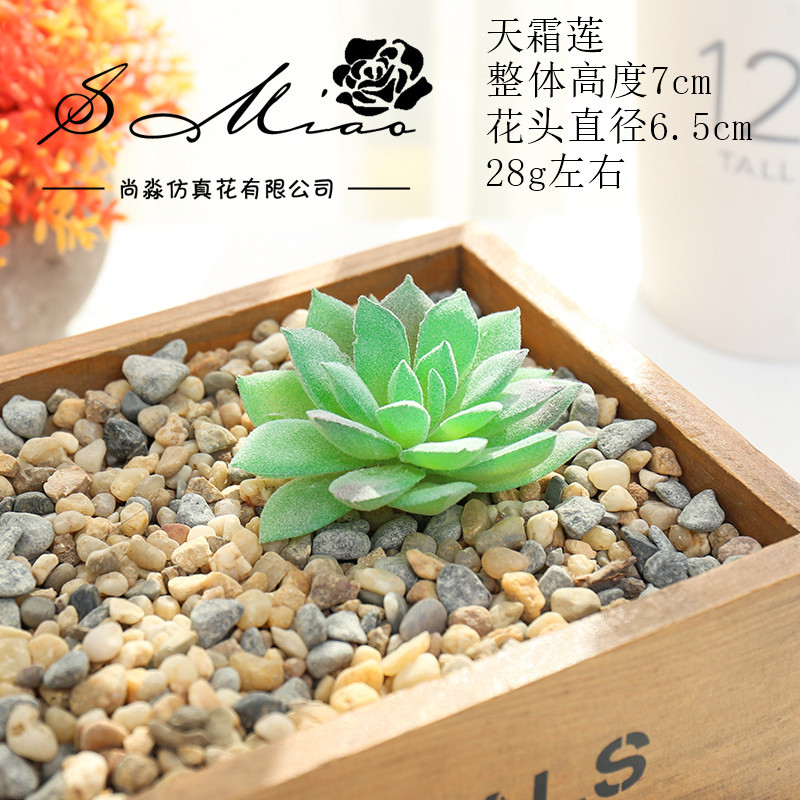 Picture of 003 Flocked Green Succulent Flower Head Creative DIY Supplies Bonsai Accessories Artificial Flower Jinhua Factory Direct Supply