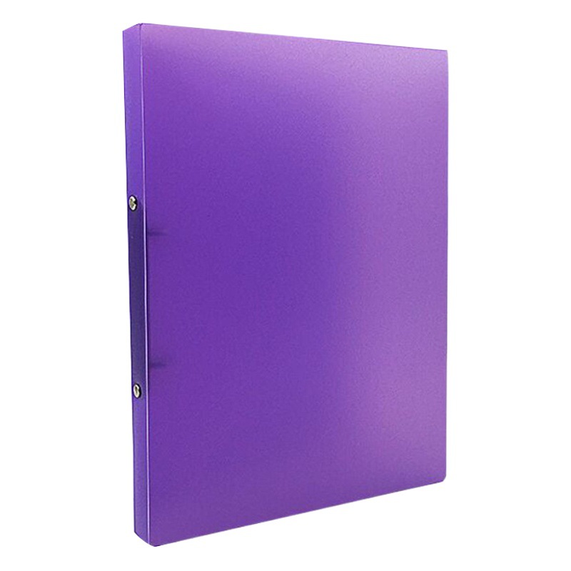 A4 plastic O-shaped 2-hole printable case folder data binder transparent perforated file folder file splint wholesale