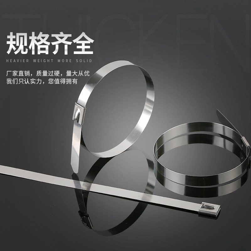 Picture of Factory wholesale 201 stainless steel cable ties 4.6~19mm white steel ball self-locking metal Marine hoop cable ties