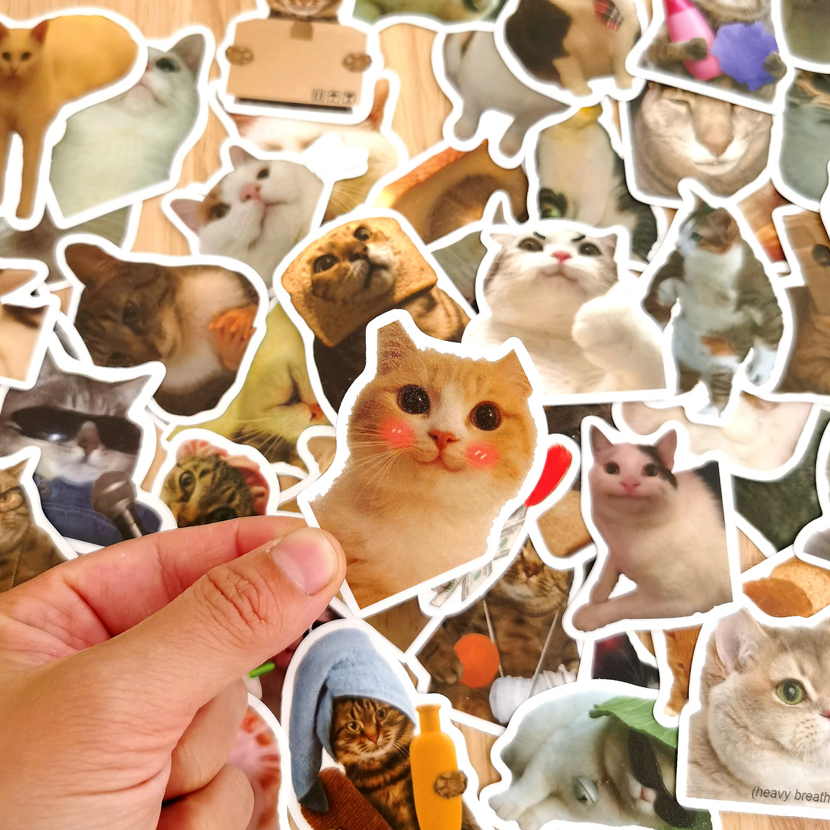 50 cross-border popular cartoon funny cat personality graffiti luggage stickers refrigerator stickers hand account stickers bag hand account