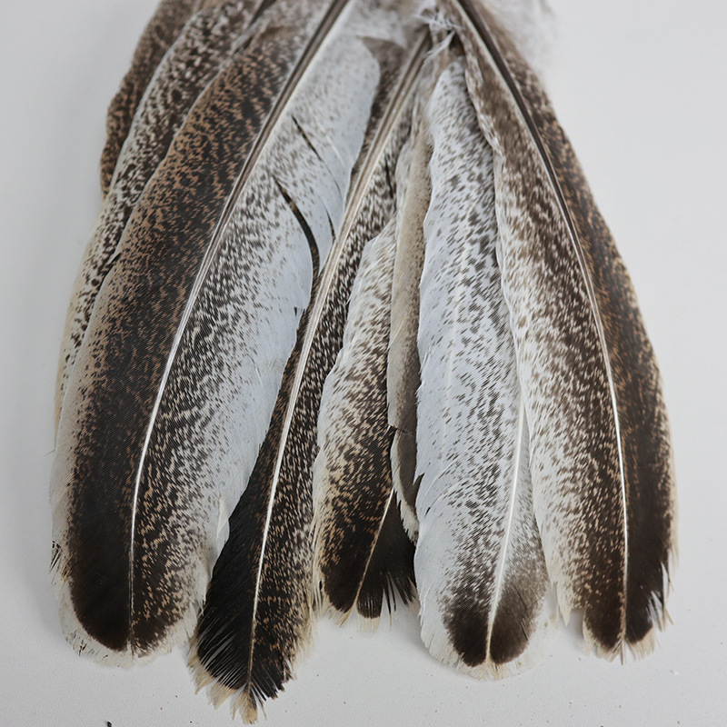 Picture of Wholesale turkey feather pockmarked nest feather pheasant feather diy handmade jewelry clothing accessories crafts decorative accessories