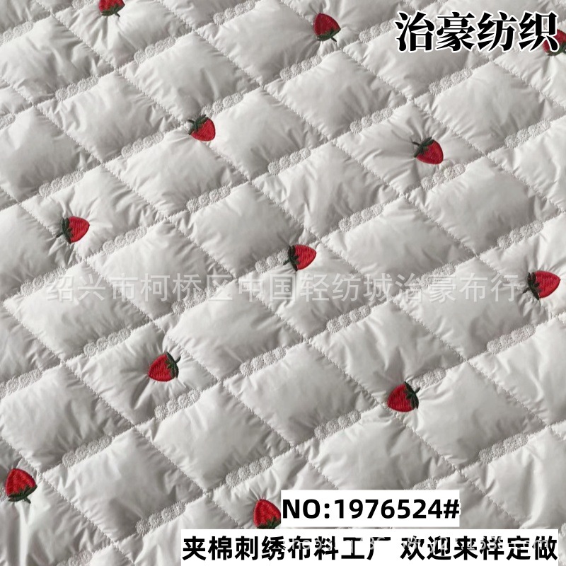 Strawberry Girls down Jacket Embroidered Fabric Multifunctional Handbag Large Capacity Fashion Korean Mommy Bag Fabric