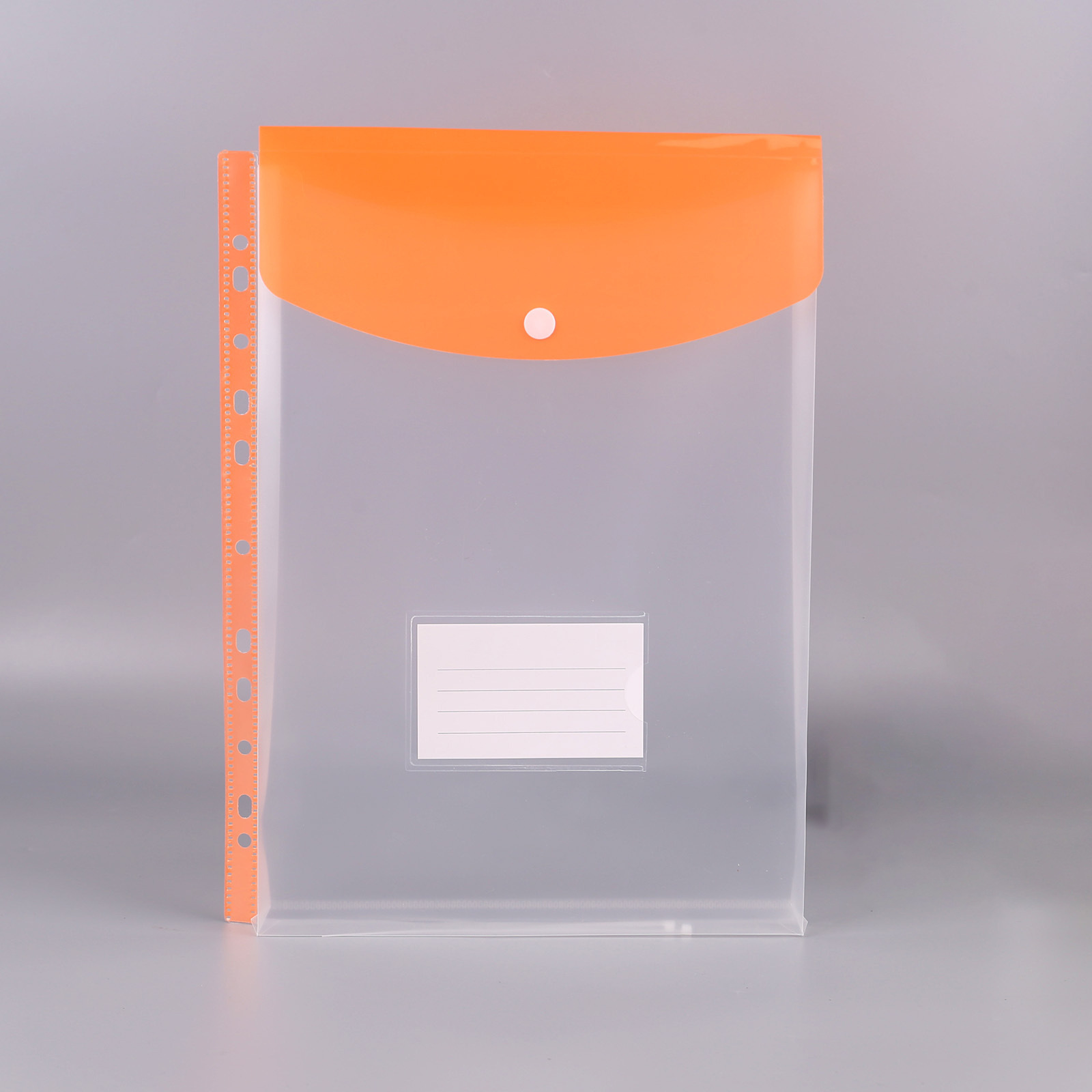 Picture of Cross-Border Hot-Selling Vertical Data Storage File Bag A4 11-Hole Loose-Leaf File Bag Pp Snap Plastic File Bag