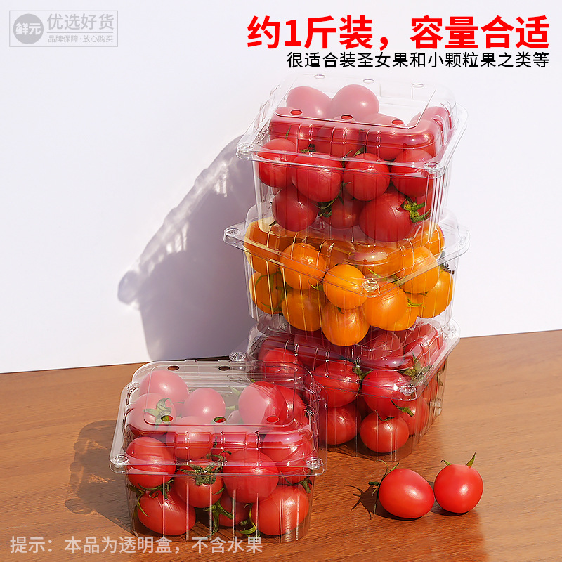 Disposable Plastic Packaging Box for Cherry Tomatoes with Lid and Bottom Hole, Breathable and Drainable Fruit Plastic Packaging Box