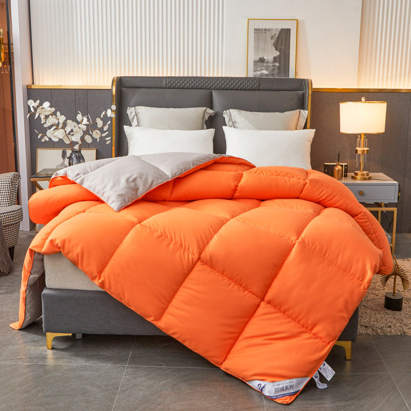 Picture of genuine goods Feather Velvet Quilt Spring and Autumn Quilt Thickened Gift Winter Quilt Down Quilt Cold-proof Warm Thick Quilt for Student Dormitory