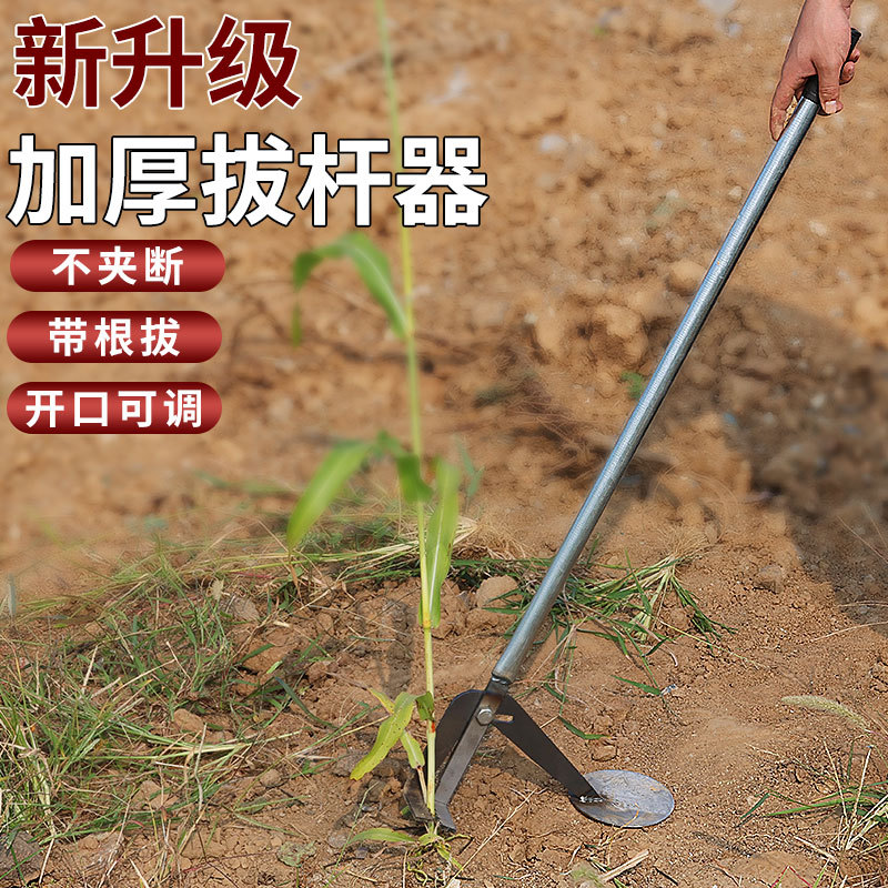 Efficient and Labor-Saving Tool for Pulling Stems: Agricultural Tool for Extracting Cassava, Eggplant, Cotton, Tobacco Stems, and Corn Roots, as Well as Chili Stems