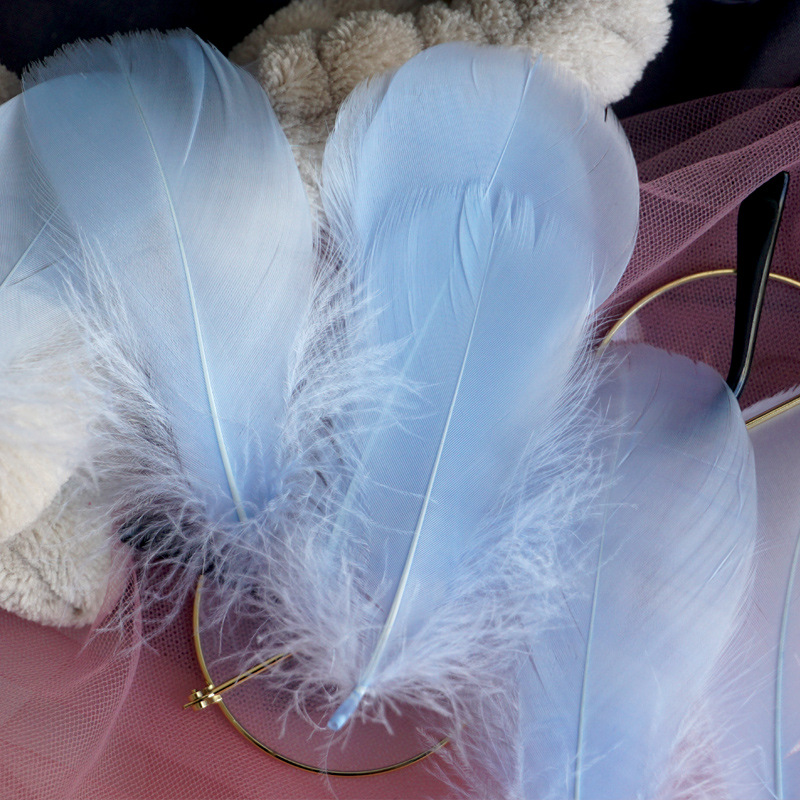 Picture of Color feather DIY floating dyeing goose feather dream catcher wave ball gift box filling decorative materials wholesale