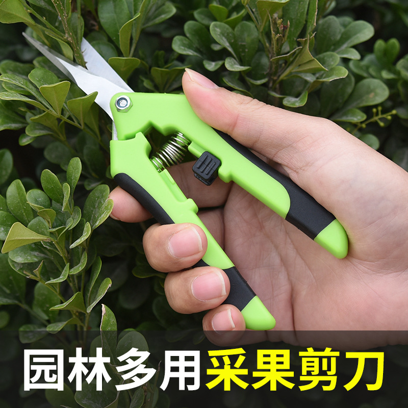 Household Scissors Branch Shears Handmade Small Flower Branch Shears Fruit Tree Pruning Shears Gardening Labor-saving Flower Branch Shears Household