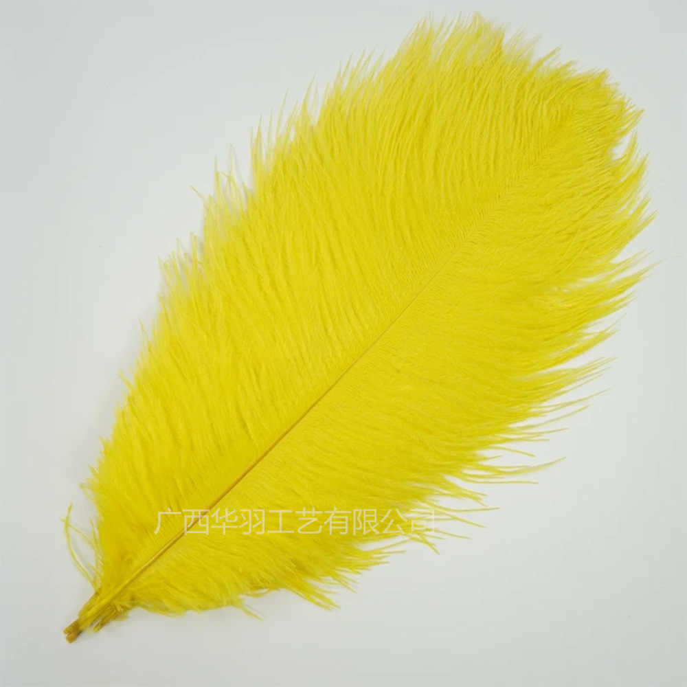 Picture of 40-45cm high quality thin rod ostrich feather source manufacturers wholesale wedding decoration feather DIY crafts stage clothes