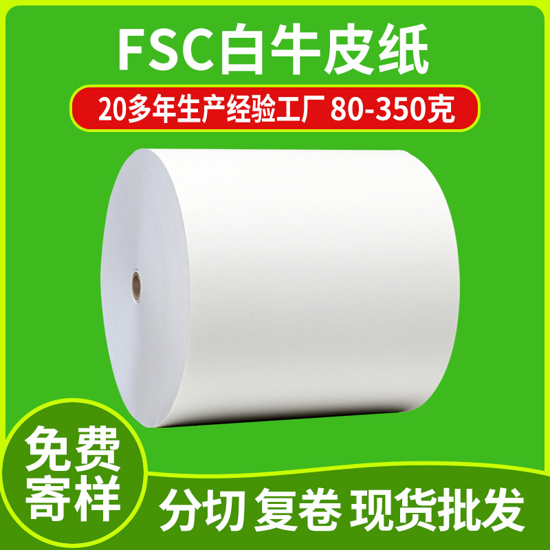 Dongguan Fsc Kraft Paper Environmentally Friendly Printed Handbag Packaging Roll Large 120g Double-Sided White Kraft Paper