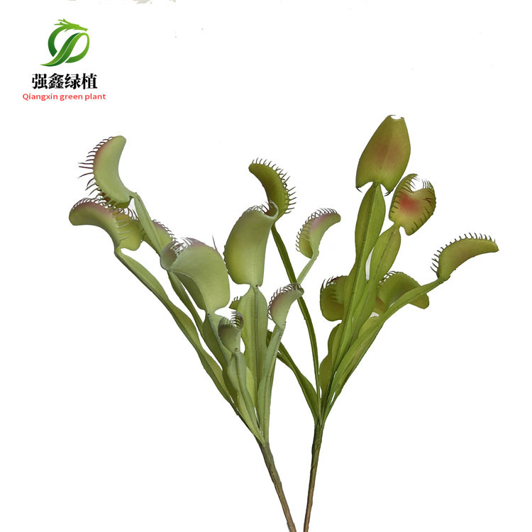 Picture of Artificial succulent Cordyceps simulation fly-eating grass people stay small bonsai decorative AliExpress Amazon supply