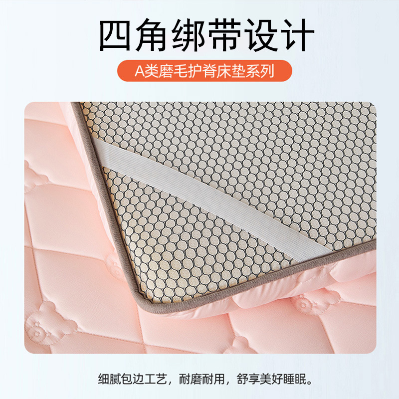 Picture of Mattress Home Cushion Thickened Tatami Mattress Bottom Bedroom Dormitory Student Single Rent Special Mat 2