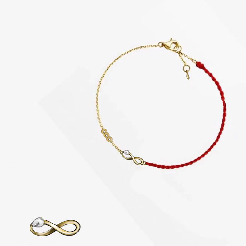 New Chinese Niche Design The Year of the Chinese Zodiac 8-character Snake Copper Coin Small Red Rope Simple Elegant Bracelet Jewelry