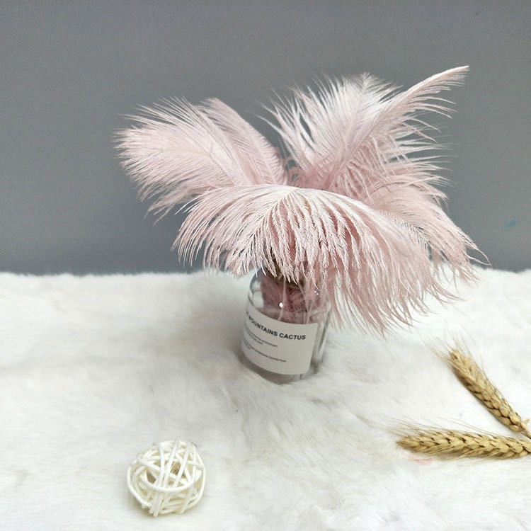 Manufacturer Wholesale 20-25cm Ostrich Feather Wedding Decoration Feather Jewelry Materials Clothing Accessories Ostrich Feathers in Stock