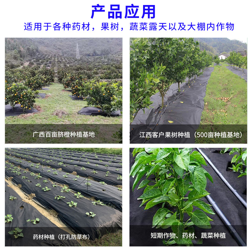 Picture of Anti-grass cloth manufacturers supply punching slice anti-grass weeding non-woven fabric breathable permeable agricultural black grass covering cloth