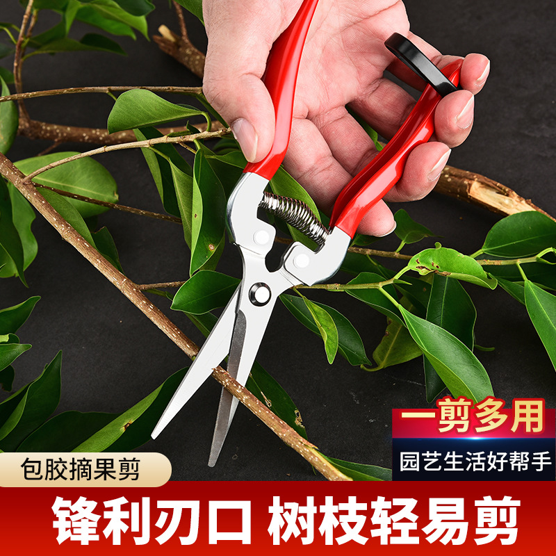 Gardening Fruit Picking Shears, Vegetable and Fruit Shears, Branch Shears, Grape Picking Shears, Flower Art Trays, Garden Pruning Shears, Wholesale Tools