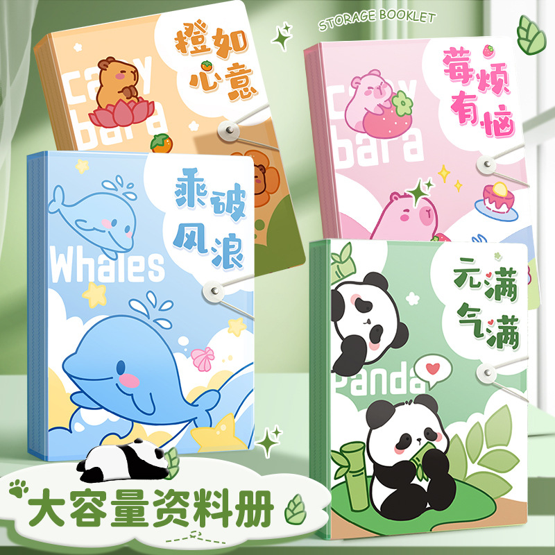True Color Test Paper Storage Book Information Book Folder A4 Transparent Multi-Layer Insert Paper Book Large Capacity Certificate Collection