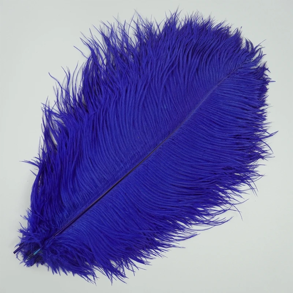 Picture of 40-45cm high quality thin rod ostrich feather source manufacturers wholesale wedding decoration feather DIY crafts stage clothes