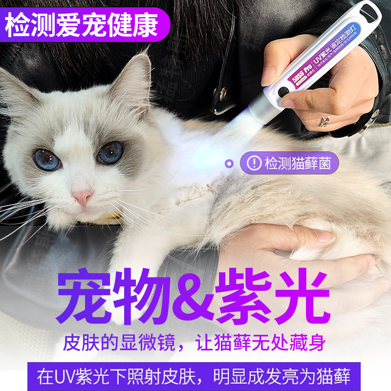 New cross-border 365nm purple light cat urine detection purple phosphor detection UV charging purple light identification flashlight