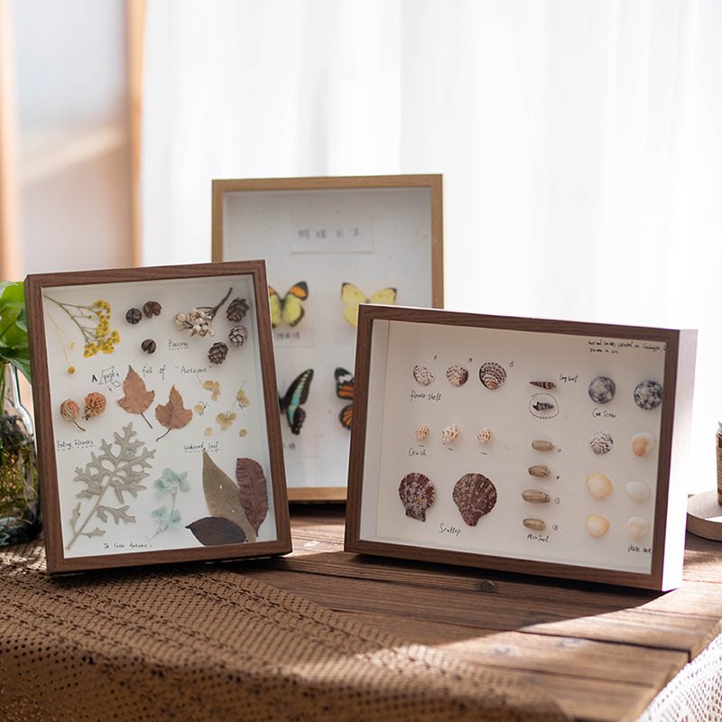 Hollow three-dimensional dried flower photo frame 678 inch DIY shell leaves decorative picture frame factory lighting painting butterfly specimen frame