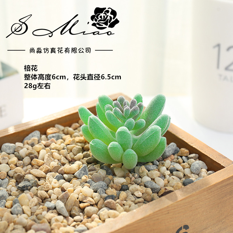 Picture of 003 Flocked Green Succulent Flower Head Creative DIY Supplies Bonsai Accessories Artificial Flower Jinhua Factory Direct Supply