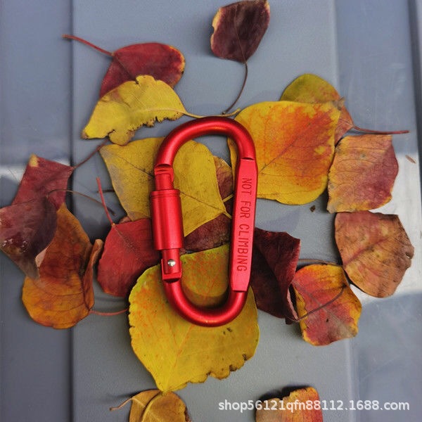 Picture of Outdoor aluminum alloy D-type quick hanging travel camping carabiner equipment camping carabiner large hanging buckle