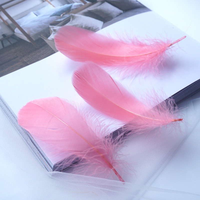 Picture of Macaron color feather decoration goose feather large and medium floating dream catcher gift box filled bouquet diy handmade material
