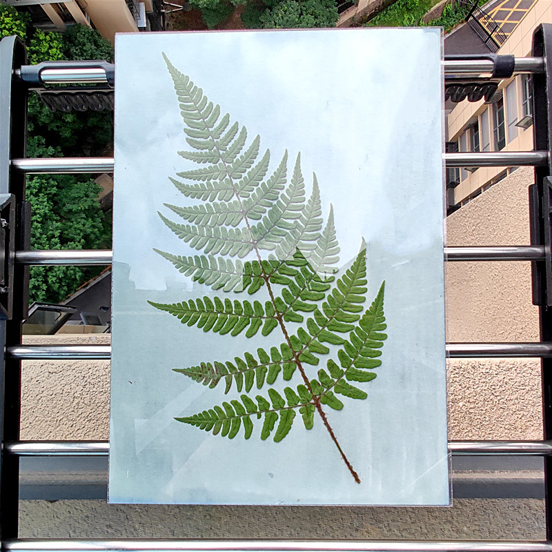Picture of Blue Drying Paper Cyanotypaper Sun Sensitive Printing Art Paper A4/A5/A6